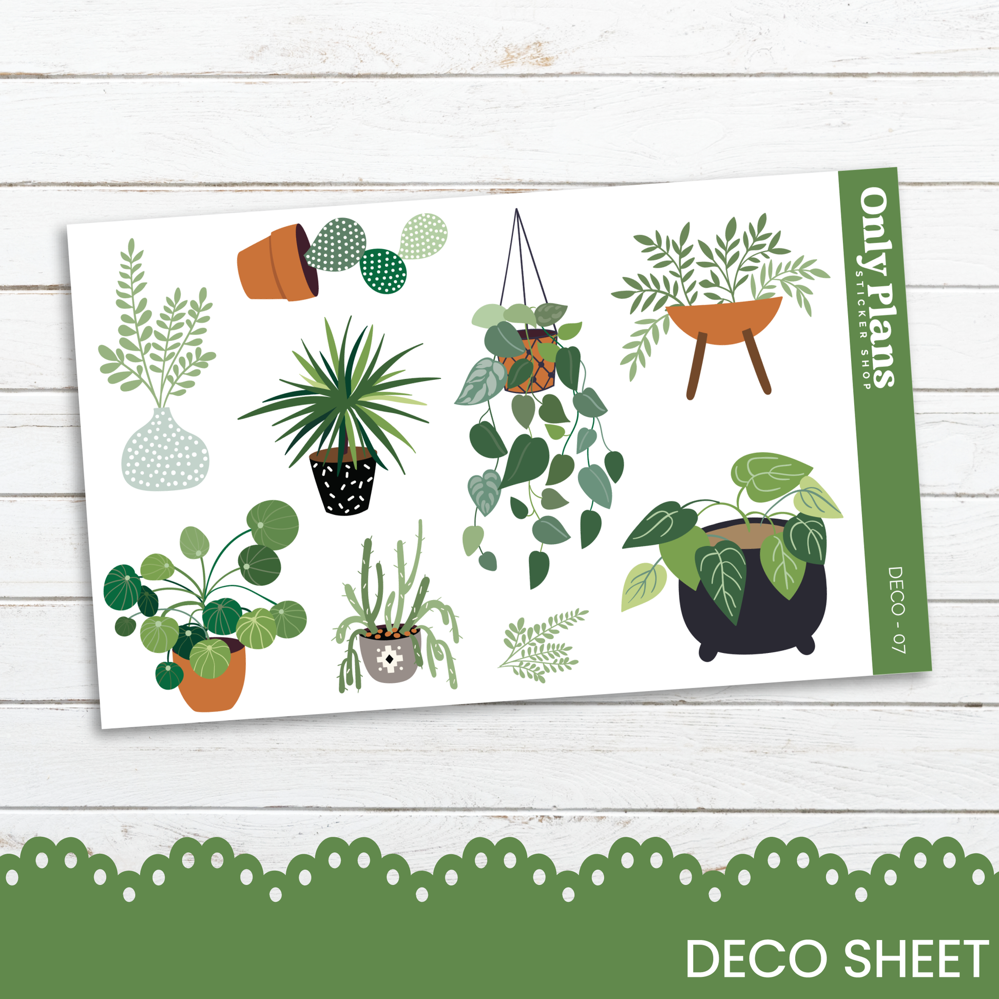 a card with a variety of house plants on it