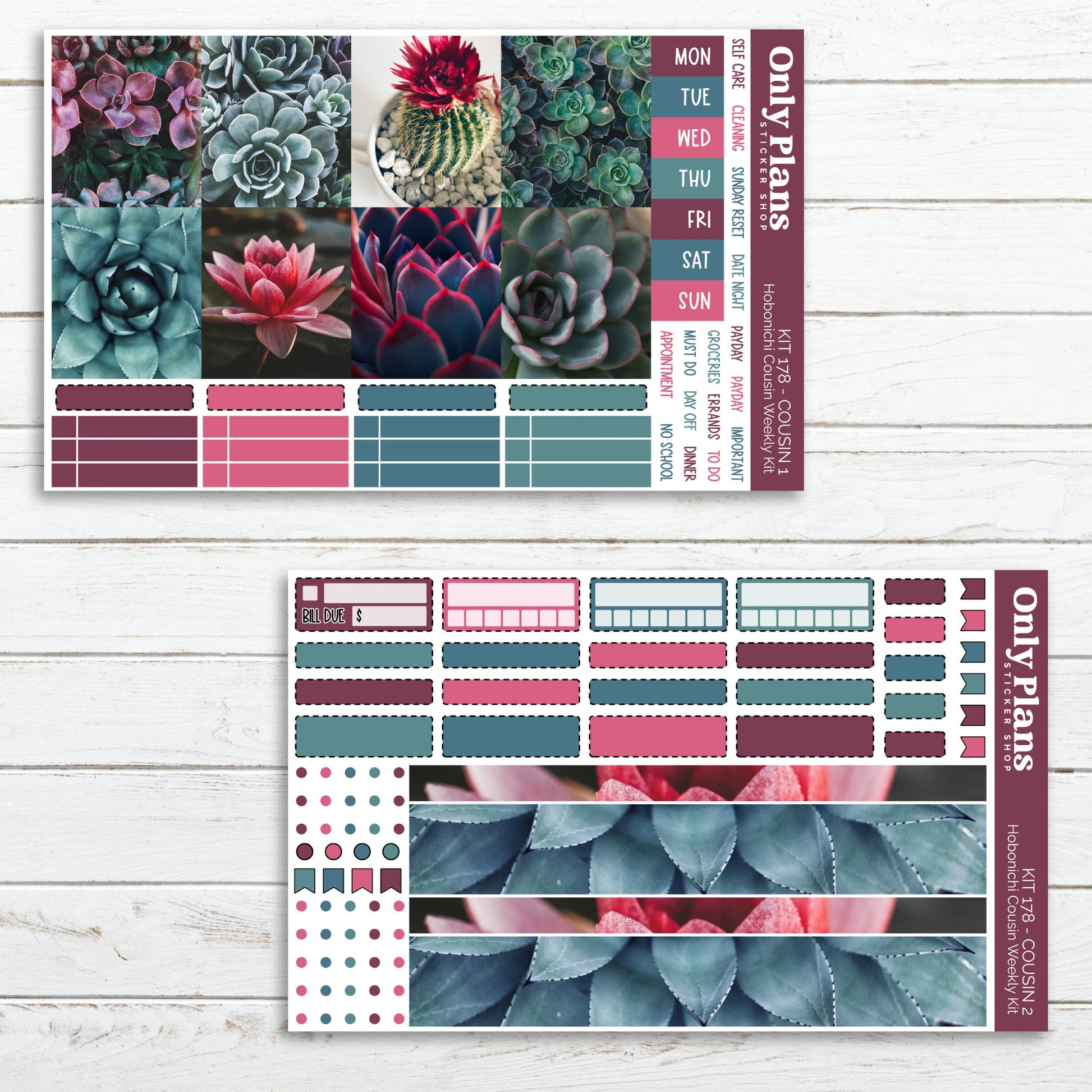 a planner sticker with succulents on it