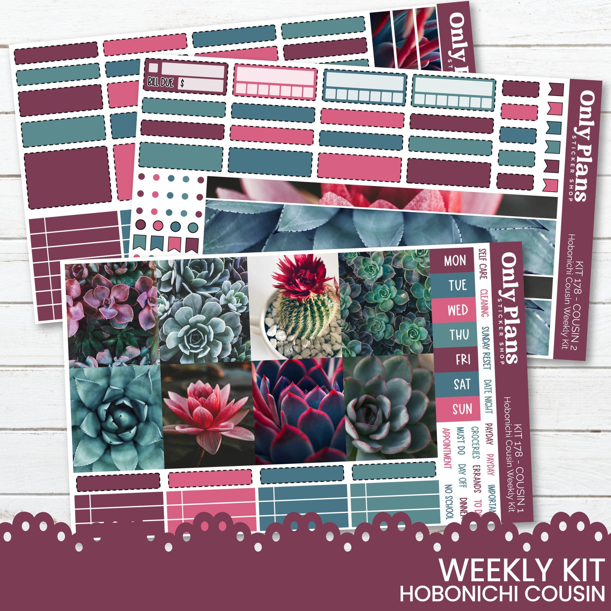 a variety of succulents and plants in a planner sticker sheet